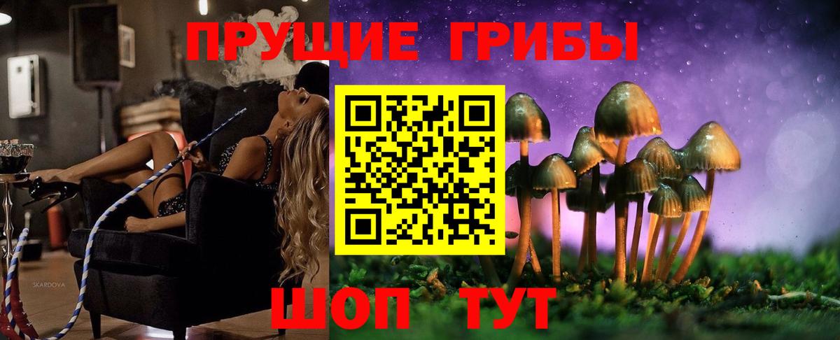 Галлюциногенные грибы MAGIC MUSHROOMS  Галлюциногенные грибы ЛСД  Вход с VPN  закладка  Саки 